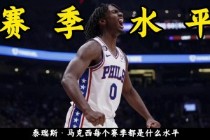 泰瑞斯·马克西每个赛季都是什么水平？今年会是机会吗？
